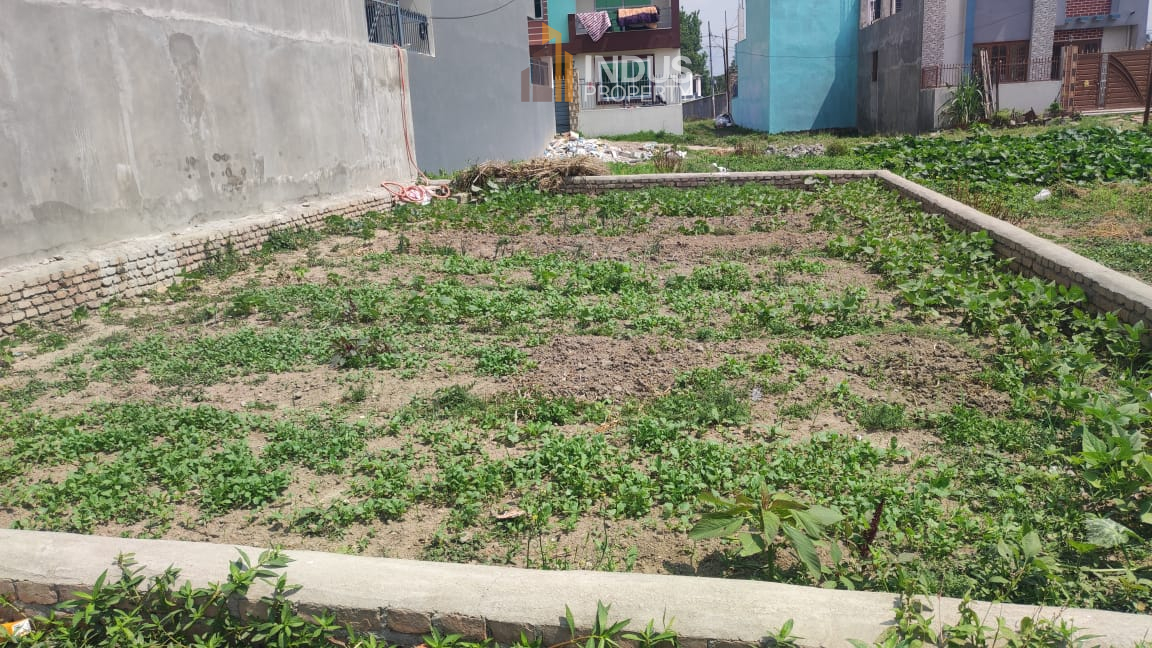 Land on sale at Tikathali, Imadol Image 4