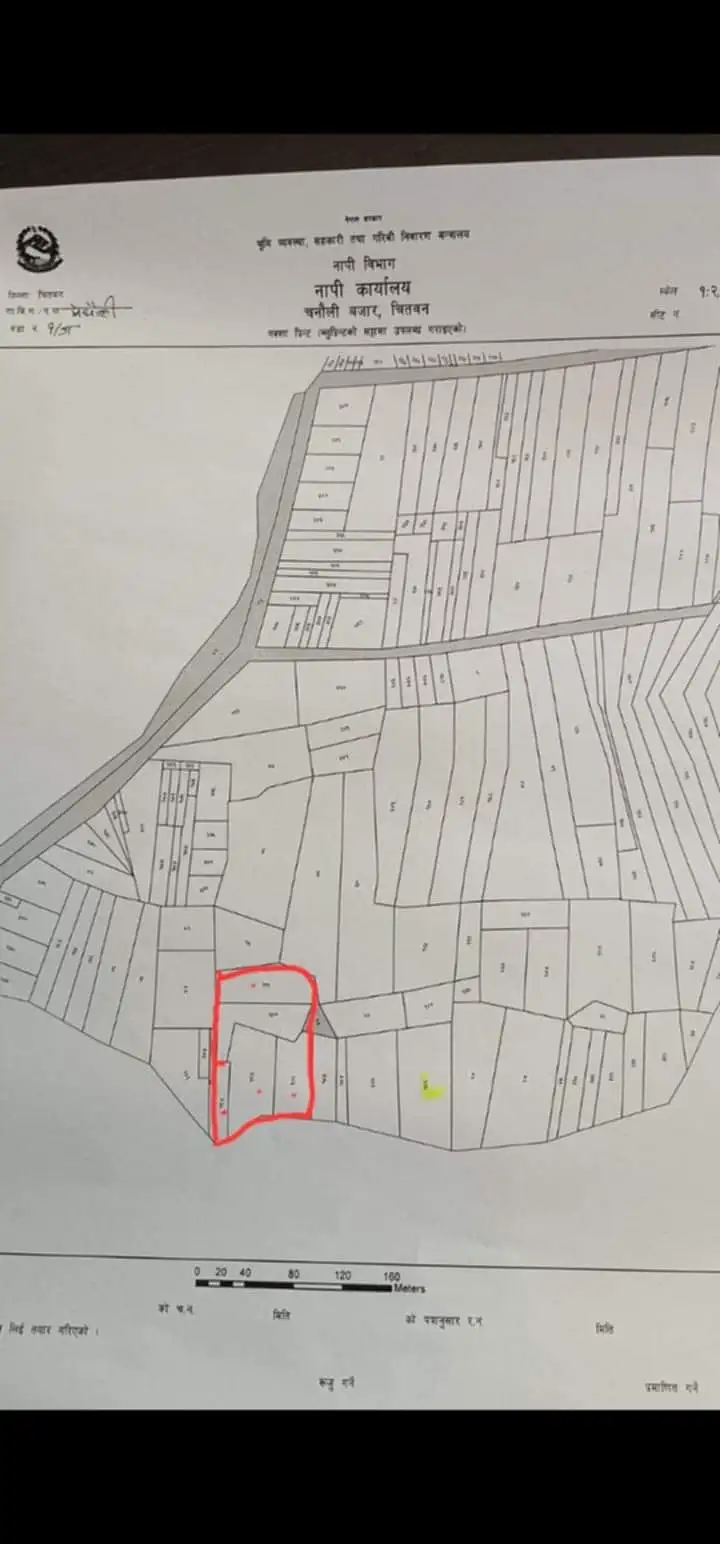 Flat land in Meghauli perfect for hotels and resorts Image 3
